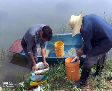 好家伙！1100亩小龙虾让孝昌这个小乡村火起来了！