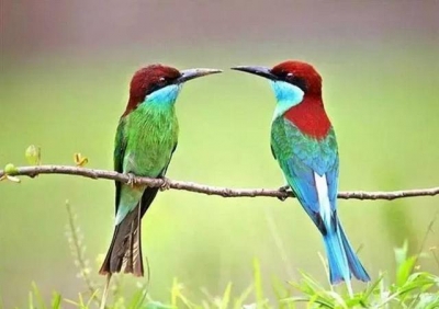 春天，别叫我去孝昌！因为一不小心……