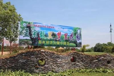 孝昌园艺“武林”再起波澜！各路高手齐聚苗木之乡！想观战的赶紧来！
