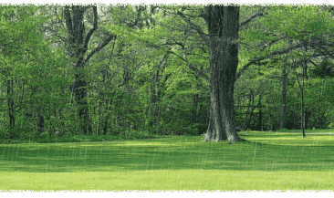 闻“汛”而动！孝昌各地未雨绸缪备战防汛抗旱