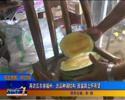 再访瓜农徐福州：改品种调结构 致富路上怀希望