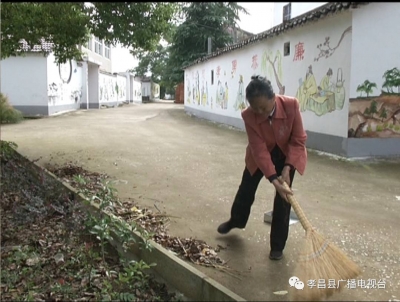 丰山镇丰四村：小村庄大变样