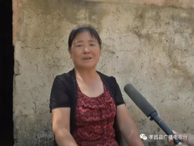 孝昌丰山镇：依托“两区九园”发展模式　着力打造旅游名镇