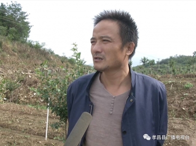 周巷镇安全村：小山村走出致富路