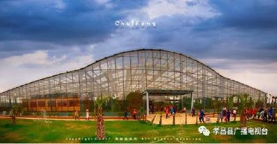 孝昌农旅融合，年接待游客110万人次，收入3.8亿元！