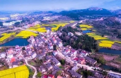 周巷： 做好绿色生态文章　加快产业转型升级
