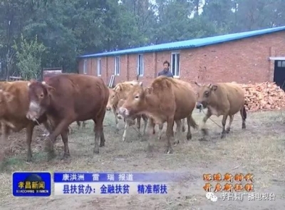 金融扶贫助力养牛户脱贫，一起来听听王店镇磨山村村民的脱贫故事！
