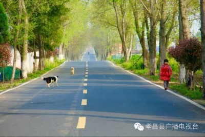 白沙镇：打造西部孝义生态重镇