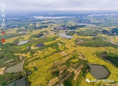 花西乡：惠及民生守红线　鼓起钱袋盈饭碗