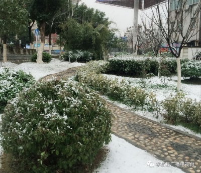最低-3℃！雨夹雪、大雪、暴雪通通要来了！孝昌这次是要把雪下个够！