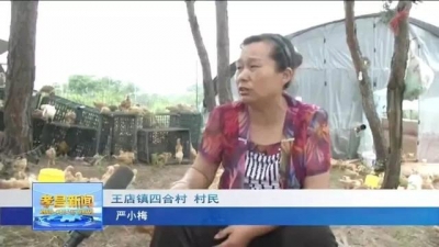 严小梅：身残志坚  创业脱贫