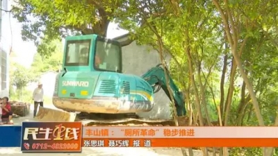 小厕所惠及大民生！孝昌“厕所革命”让乡村厕所大变样！