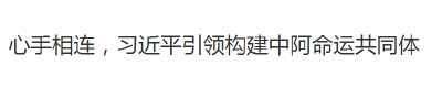 心手相连，习近平引领构建中阿命运共同体