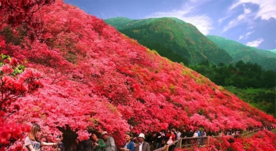 孝昌身份证厉害了！去云雾山旅游一律免门票，还有……