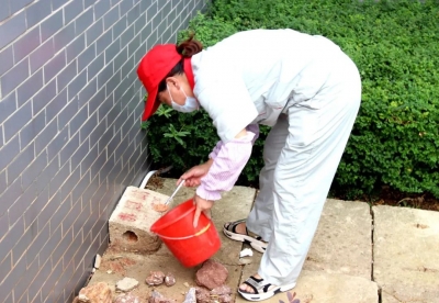 净化环境，健康生活！孝昌开展秋季除四害活动！