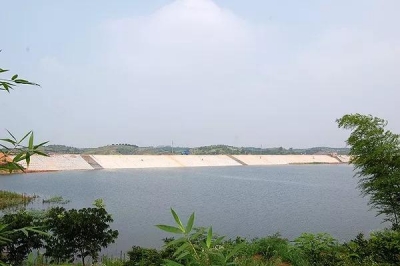 王店镇持续推进清流行动，为青山碧水护航！