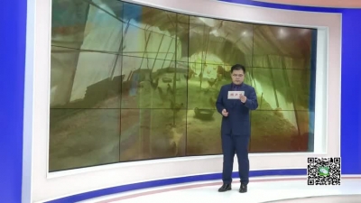 －－吴新舟：回乡创业成为“养鸡大王”  带领农户走上致富路