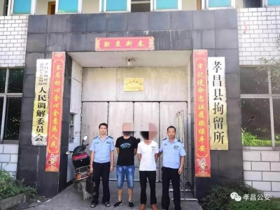 扫黑除恶，绝不手软！孝昌侦破涉恶案件87起、犯罪团伙17个！