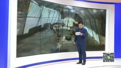 －－王店镇：扎实开展清流行动　打造良好水环境
