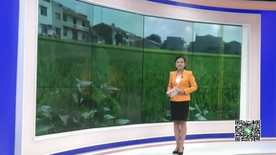 －－张培：小身躯有大能量