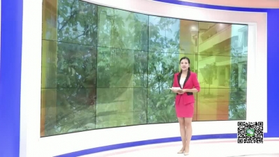 －－张福南：昔日贫困户成为致富带头人