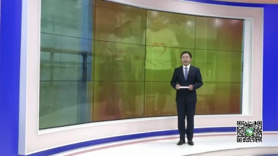 －－王丽：为脱贫攻坚贡献巾帼力量（上）