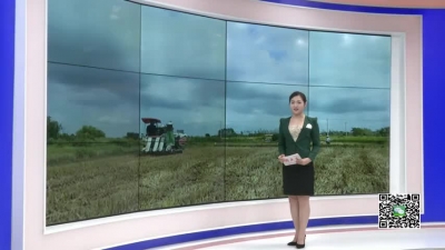 －－小悟乡项庙村：为传统古村落“输血” 让历史名村“活”起来