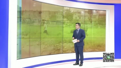 －－阳贤舜：勤劳致富争做“牛”主人