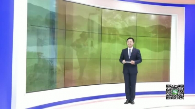 －－刘小涛：胸怀“三颗心” 且歌且前行