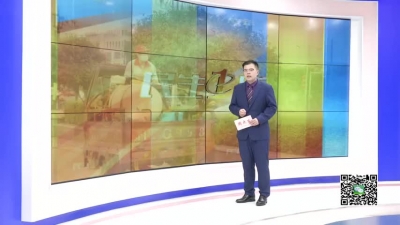 －－县爱卫办：开展“除四害”消杀行动    保障人民群众健康