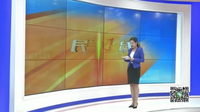 －－王丽：为脱贫攻坚贡献巾帼力量（下）