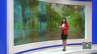 －－王店镇高岗村：规划先行　振兴乡村