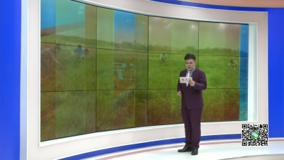－－工作队的故事：“火红”小辣椒　铺就致富路