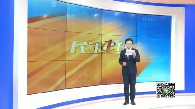 －－陈叶佩：贫困户变身“鸡司令” 山林养鸡不愁销