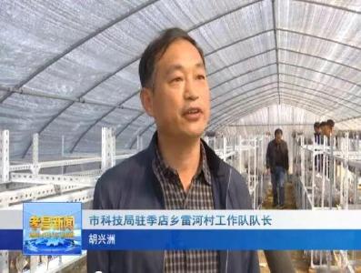 小小食用菌竟成了孝昌村民脱贫致富的好帮手！快来看看是如何办到的！