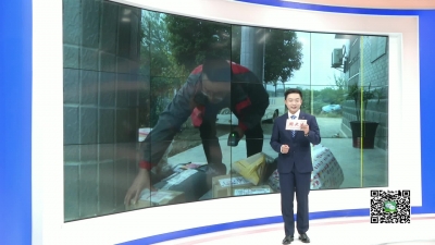 －－白沙镇东河村：萝卜地里刨出致富路