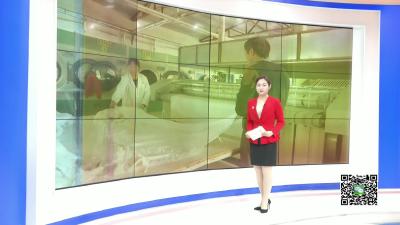 －－花园镇白莲村： “扶贫工厂”拓宽脱贫增收路