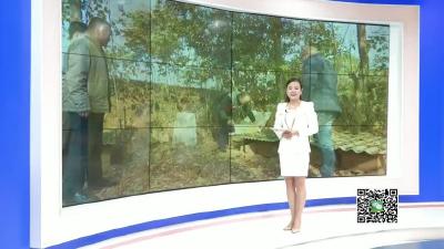 －－孝感市文联荆楚“红色文艺轻骑兵”慰问活动走进陡山乡
