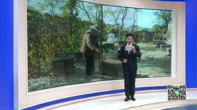 －－全市2018年“全国安全用药月”宣传活动在我县启动