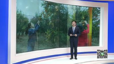 －－个人所得税改革 为百姓送上“大礼包”
