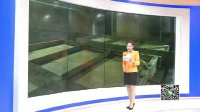 －－花西乡：豆浆制成棍 美味效益高