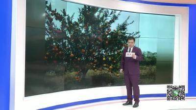 －－我县举办第十四届“中华魂”主题教育活动演讲比赛