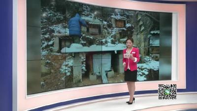 －－小悟乡：探索中蜂养殖 走出“甜蜜脱贫路”