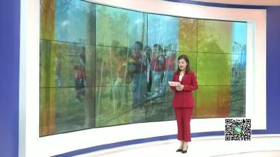 －－醉美银杏 项庙村邀你赏美景