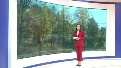 －－聚焦生活：寒潮来袭 你准备好了吗