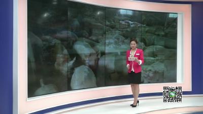 －－科学养殖新模式　让生猪养殖更环保