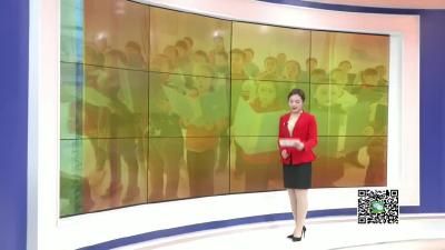 －－花园镇：学校成立合唱团   丰富校园文化生活