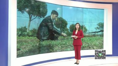－－王店镇：生态亲子农场  不一样的户外体验