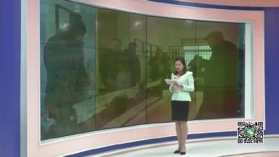－－孝昌“湖山雅集”书画盆景小品展风雅启幕