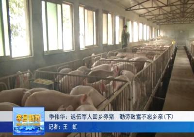 孝昌退伍军人回乡养猪，勤劳致富不忘乡亲！